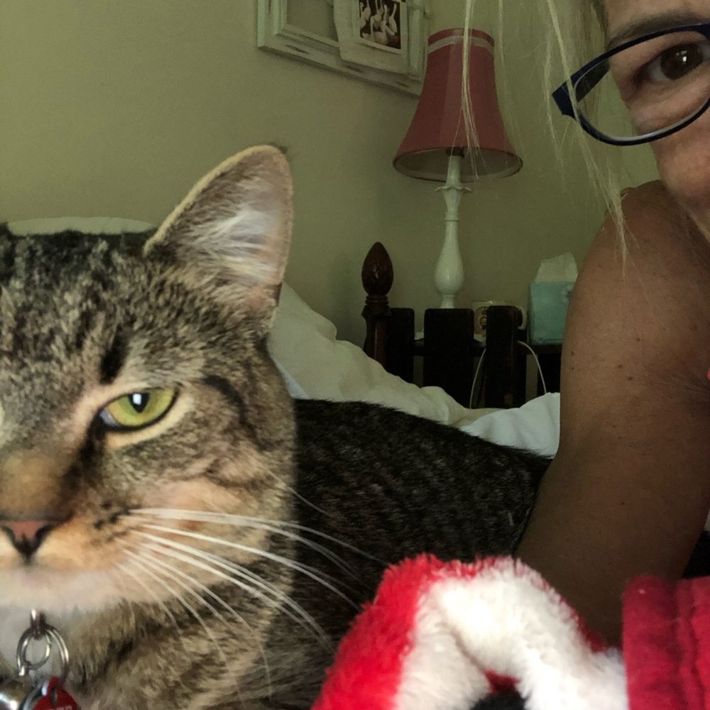 Meet your Posher, Meredith